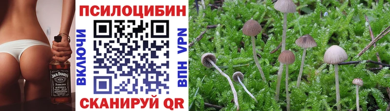 Галлюциногенные грибы Psilocybine cubensis продажа наркотиков Мытищи