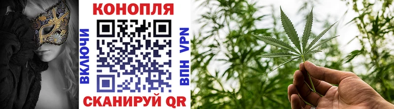 где найти наркотики Мытищи Канабис марихуана